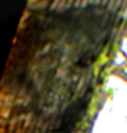 e0103408_22114121.jpg