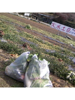 f0009509_10164160.jpg