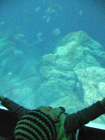 f0024409_21121310.jpg