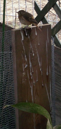 c0190010_20554781.jpg