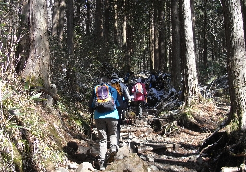 f0006510_2351625.jpg