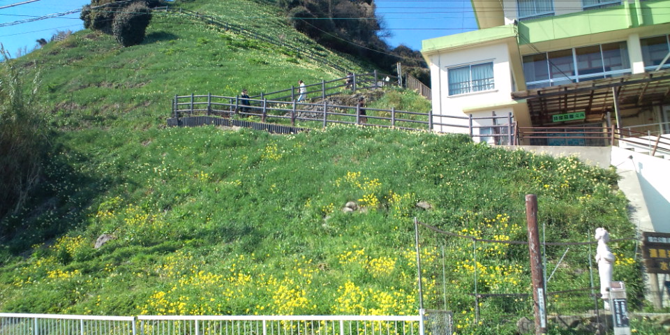 f0219810_643466.jpg