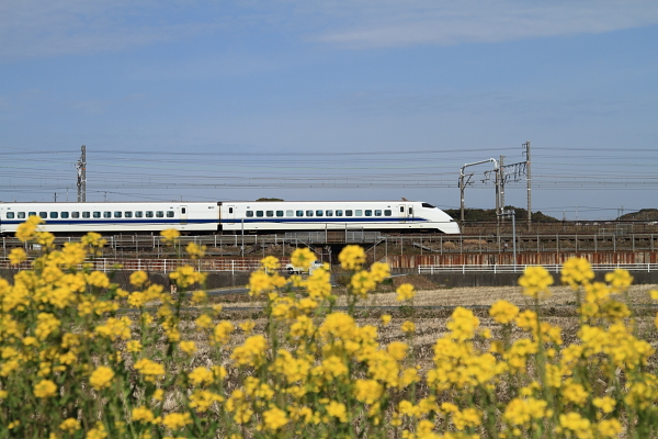 f0211615_19501267.jpg
