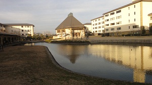 b0197418_20442248.jpg