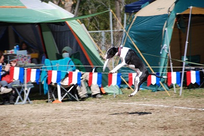 e0121418_21115068.jpg