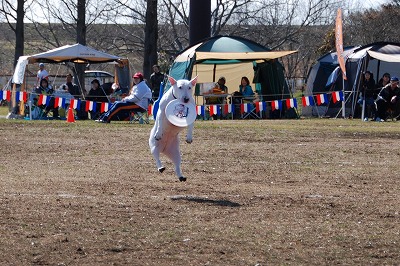 e0121418_2112339.jpg