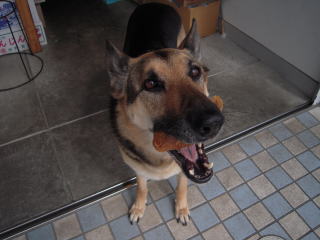 c0090220_0124259.jpg