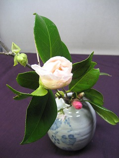 f0139520_20125041.jpg