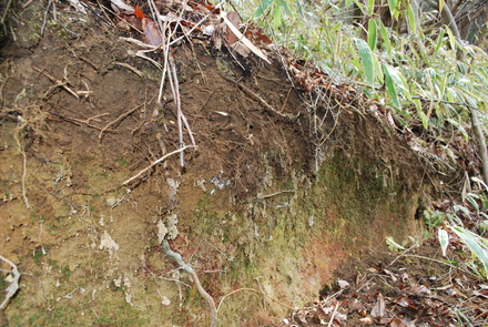 a0171521_23145167.jpg