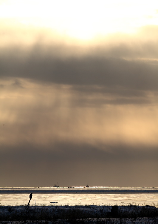 c0140721_155226.jpg