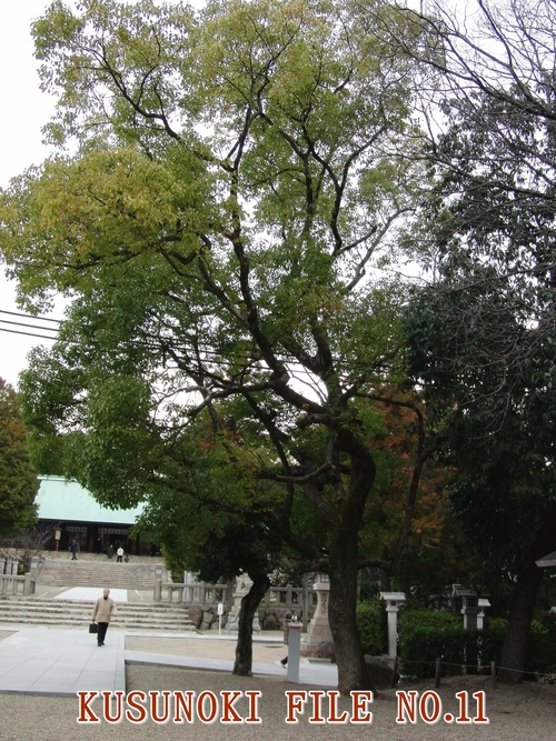 e0179321_2123292.jpg