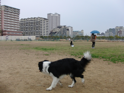 e0179321_21235491.jpg