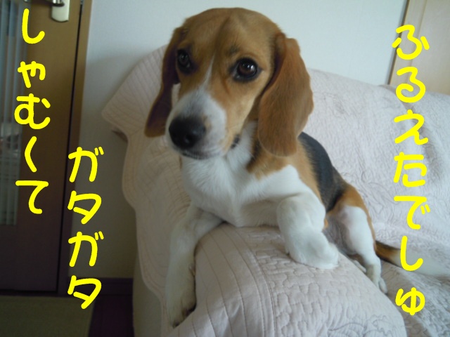 c0166622_1321203.jpg