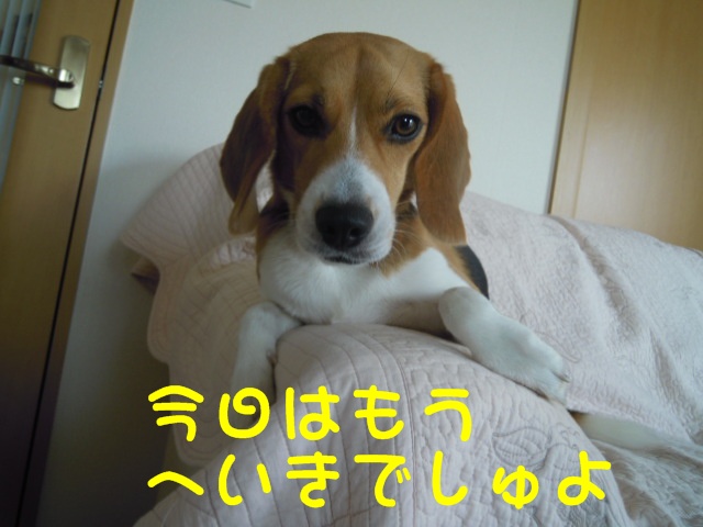 c0166622_13215753.jpg