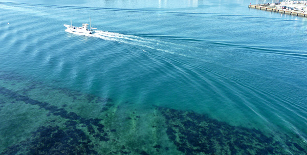 e0089826_22655100.jpg