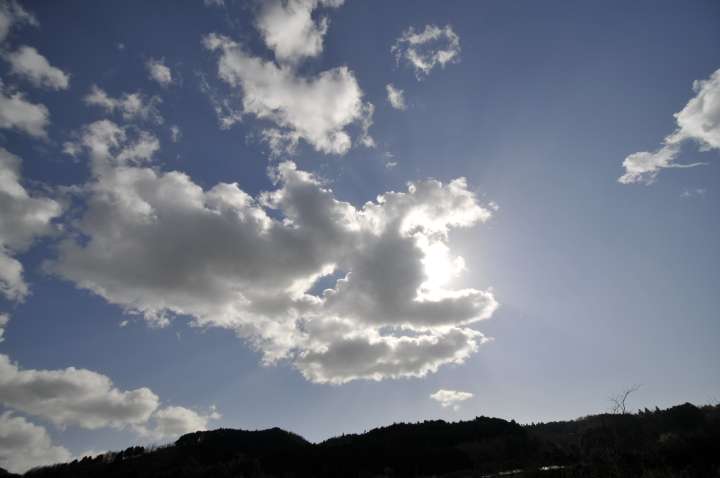 c0133133_2225569.jpg