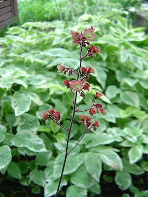 f0205733_021428.jpg