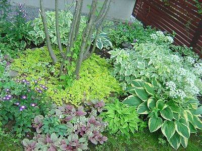 f0205733_022988.jpg