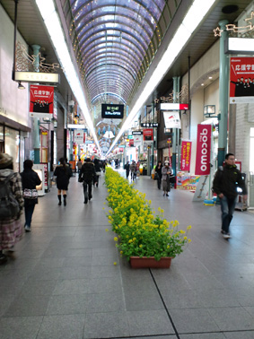 a0198537_17144346.jpg
