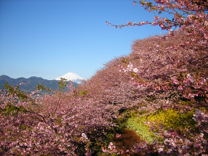 b0042837_564352.jpg