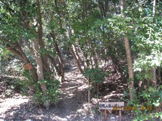 c0077338_6502099.jpg