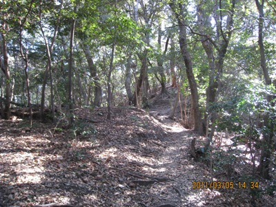 c0077338_6505454.jpg