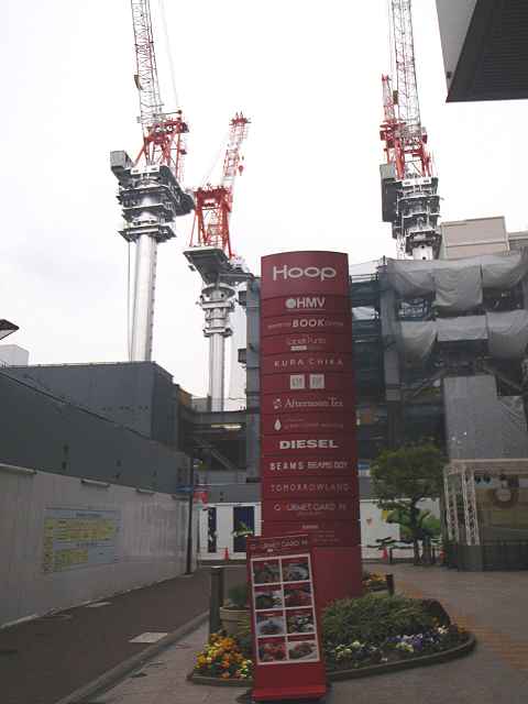 a0095546_2073546.jpg
