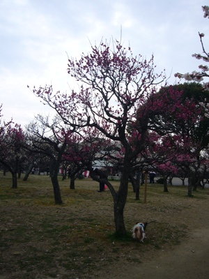 e0100046_15424592.jpg