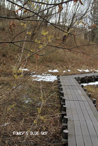 c0145250_20141016.jpg