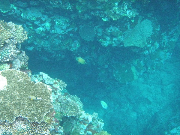 e0134752_20472374.jpg