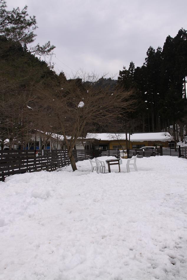 e0149256_17333075.jpg