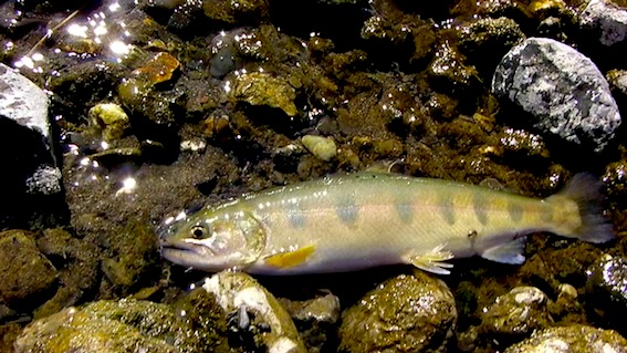 f0163561_1113255.jpg