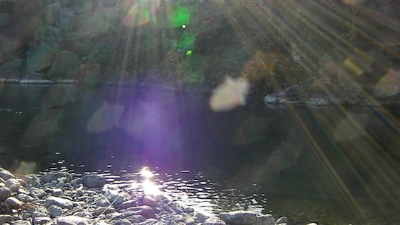 f0163561_1134370.jpg