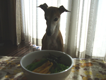 b0069169_124561.jpg