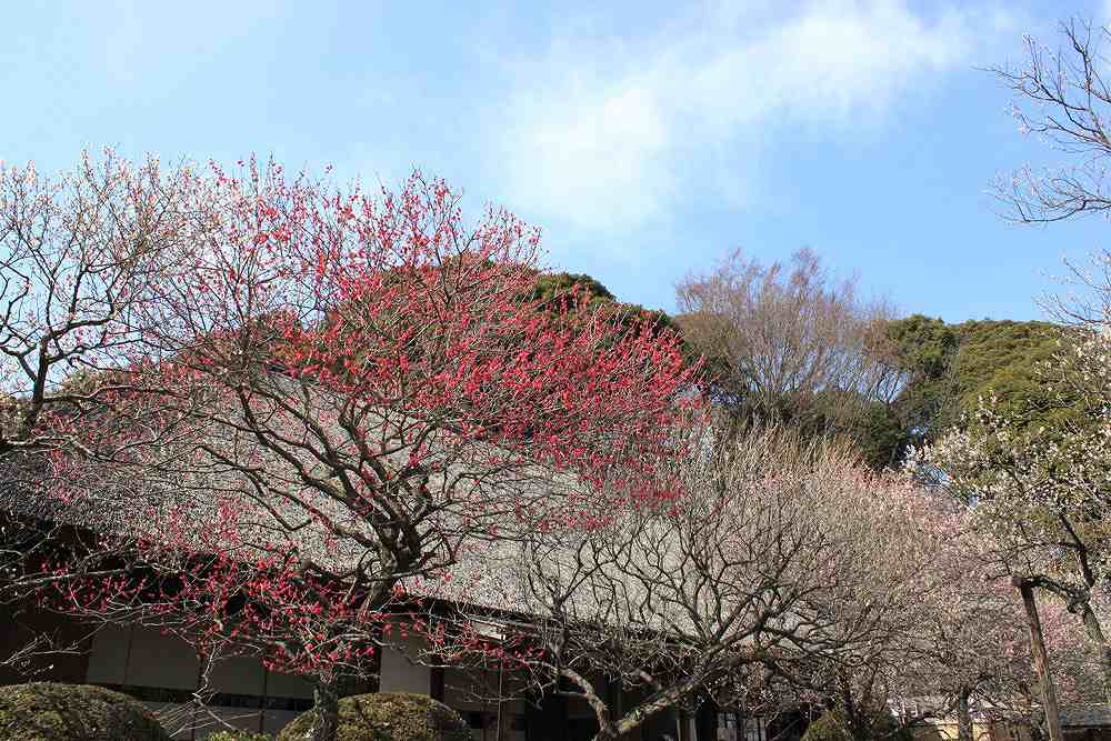 c0007169_2156648.jpg
