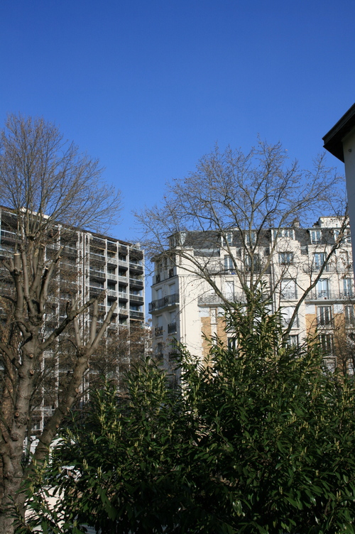 b0169771_1962572.jpg
