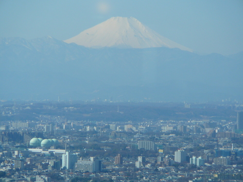 d0104974_9415770.jpg