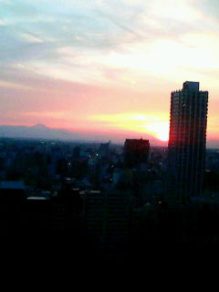 a0116578_7505872.jpg