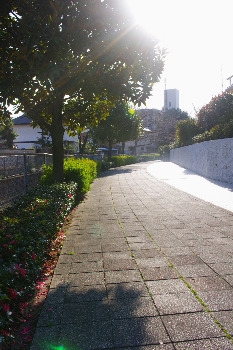 b0120979_7251125.jpg