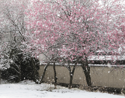 b0159780_7295961.gif