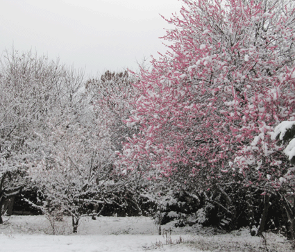 b0159780_745590.gif