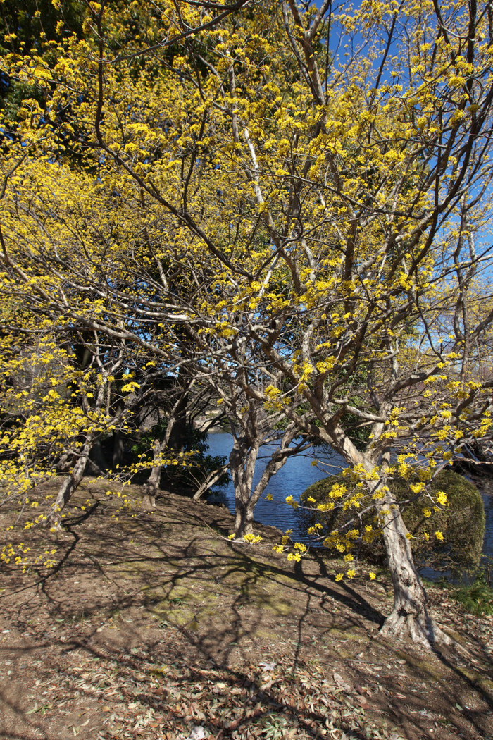 a0083081_17382090.jpg