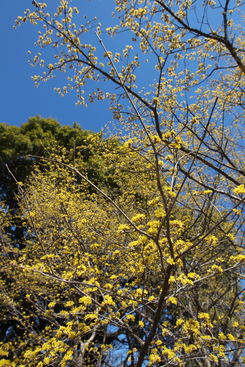 a0083081_17383058.jpg