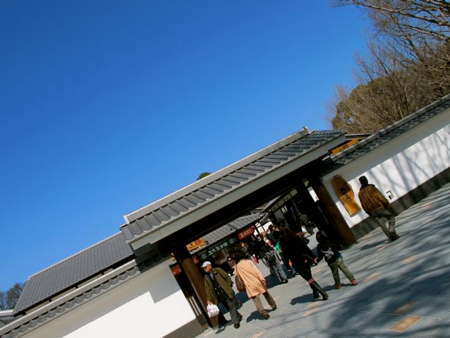 e0132881_019797.jpg