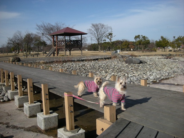 e0066883_17474669.jpg
