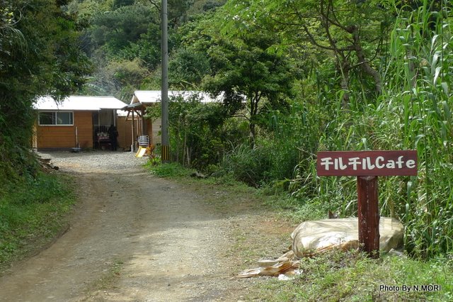 b0115085_17222315.jpg
