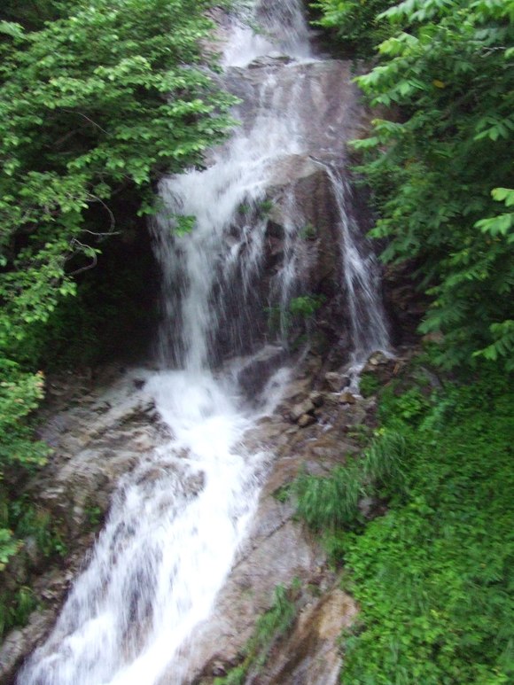 a0186689_2042285.jpg