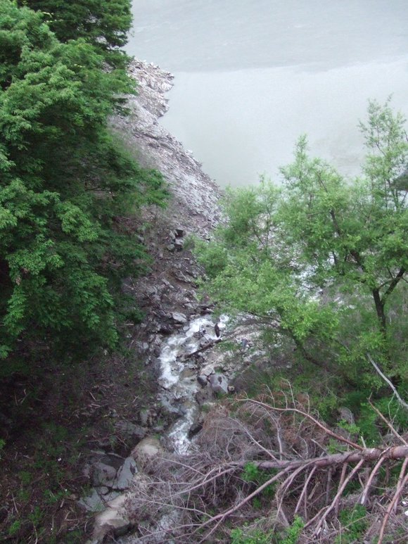 a0186689_2043332.jpg