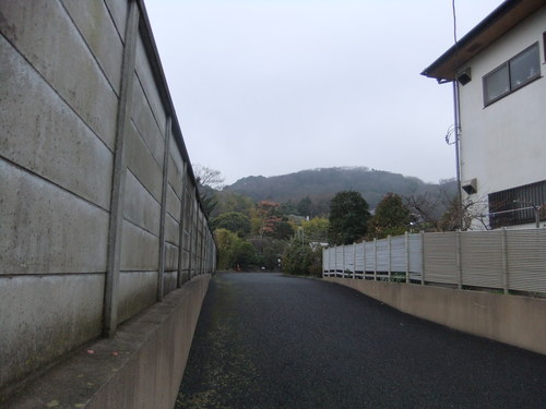 f0063791_2030737.jpg