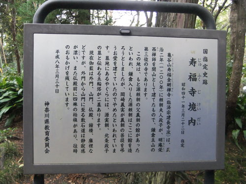 f0063791_20351485.jpg